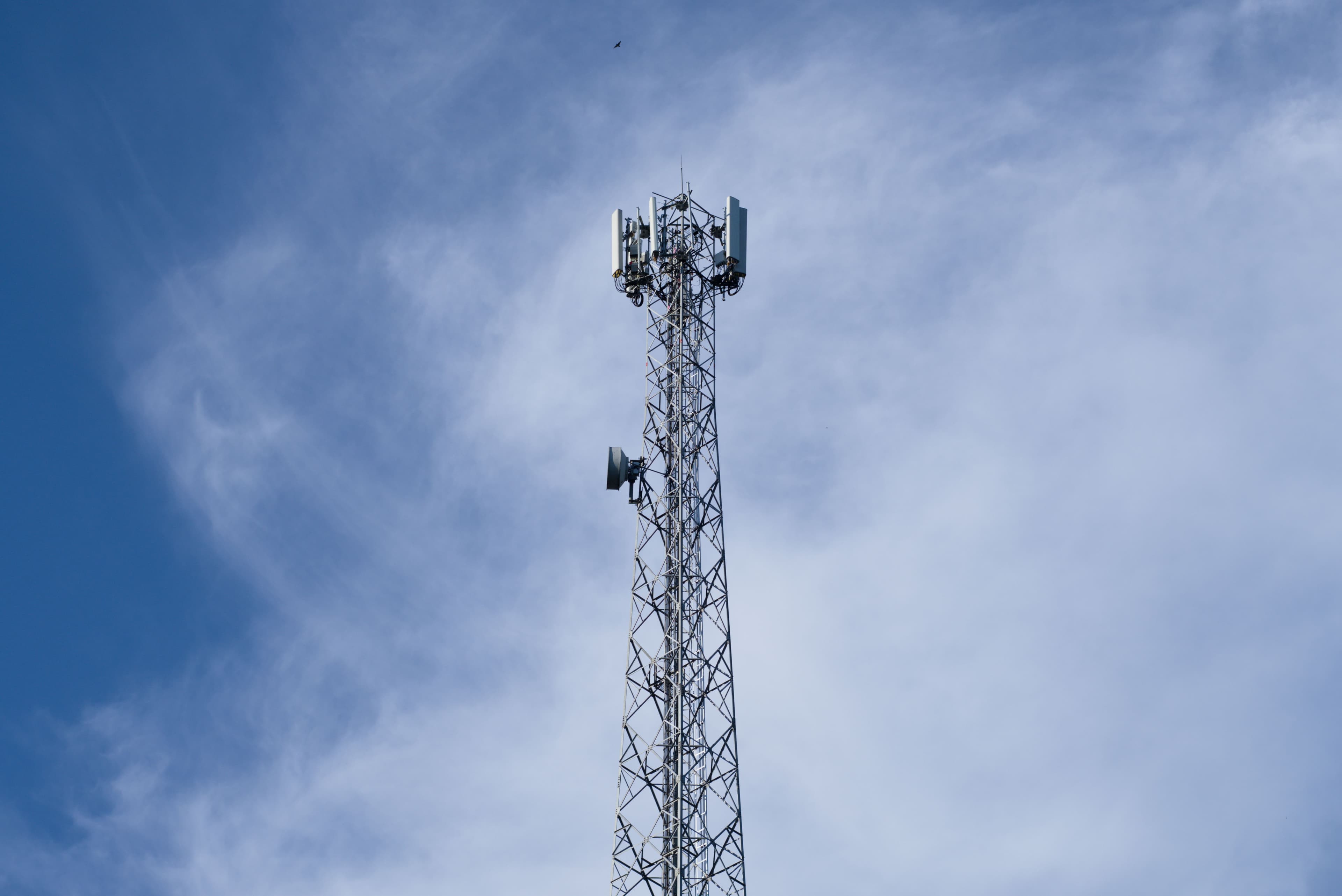International roaming vs local SIM in India - best option for tourists 2026