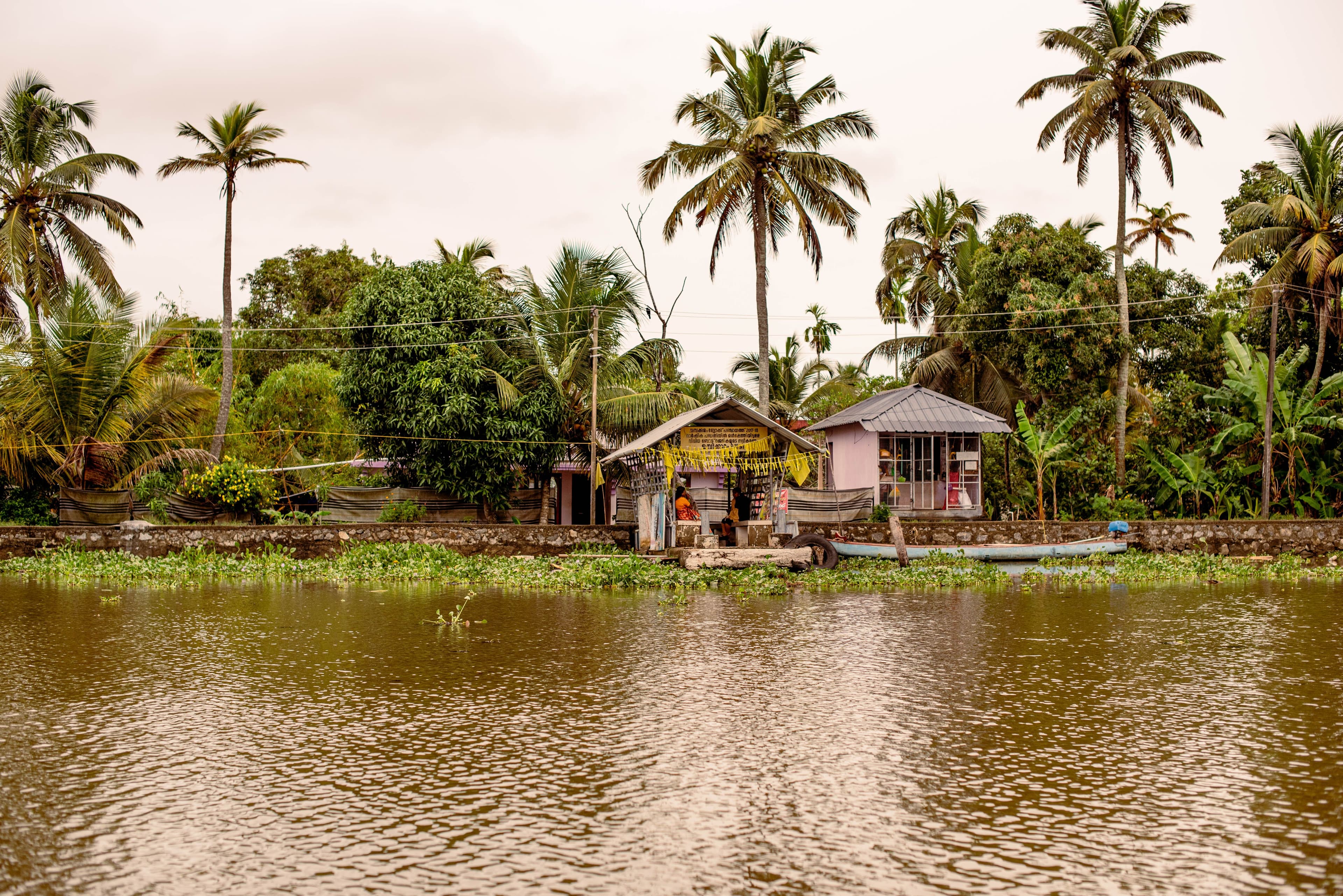 Kerala & the Southern Backwaters