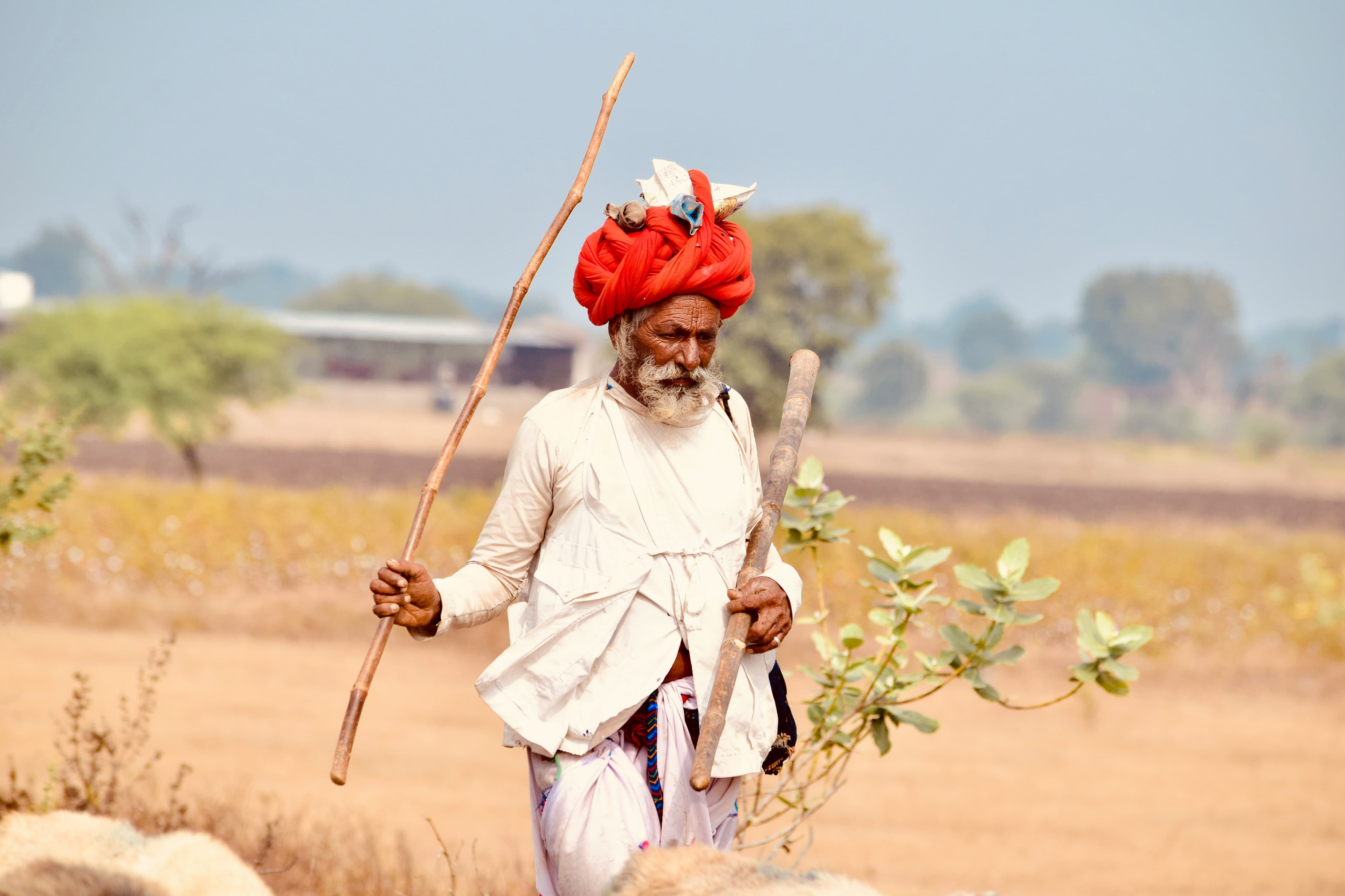 Jawai overview - India's leopard country with granite hills and wild leopards