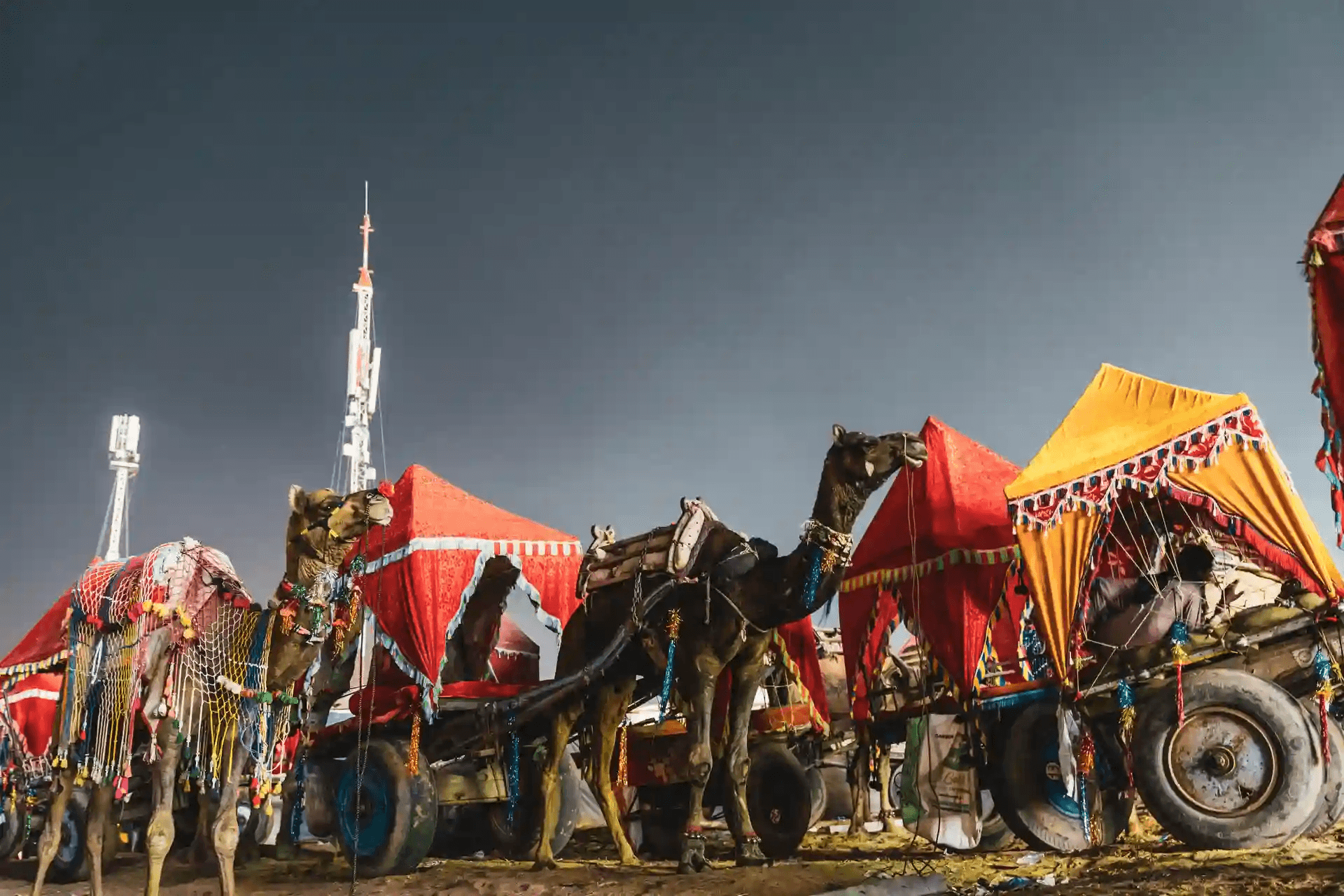 Pushkar Lake and Brahma Temple in Rajasthani Heritage Tour Package by India Heritage Travel