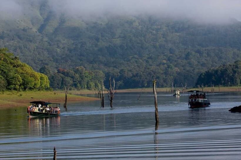 Thekkady Kerala featuring Periyar Lake wildlife sanctuary and lush green landscapes
