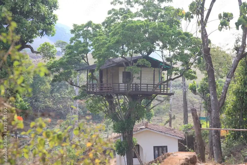 Thekkady wildlife sanctuary and spice plantations in Kerala India