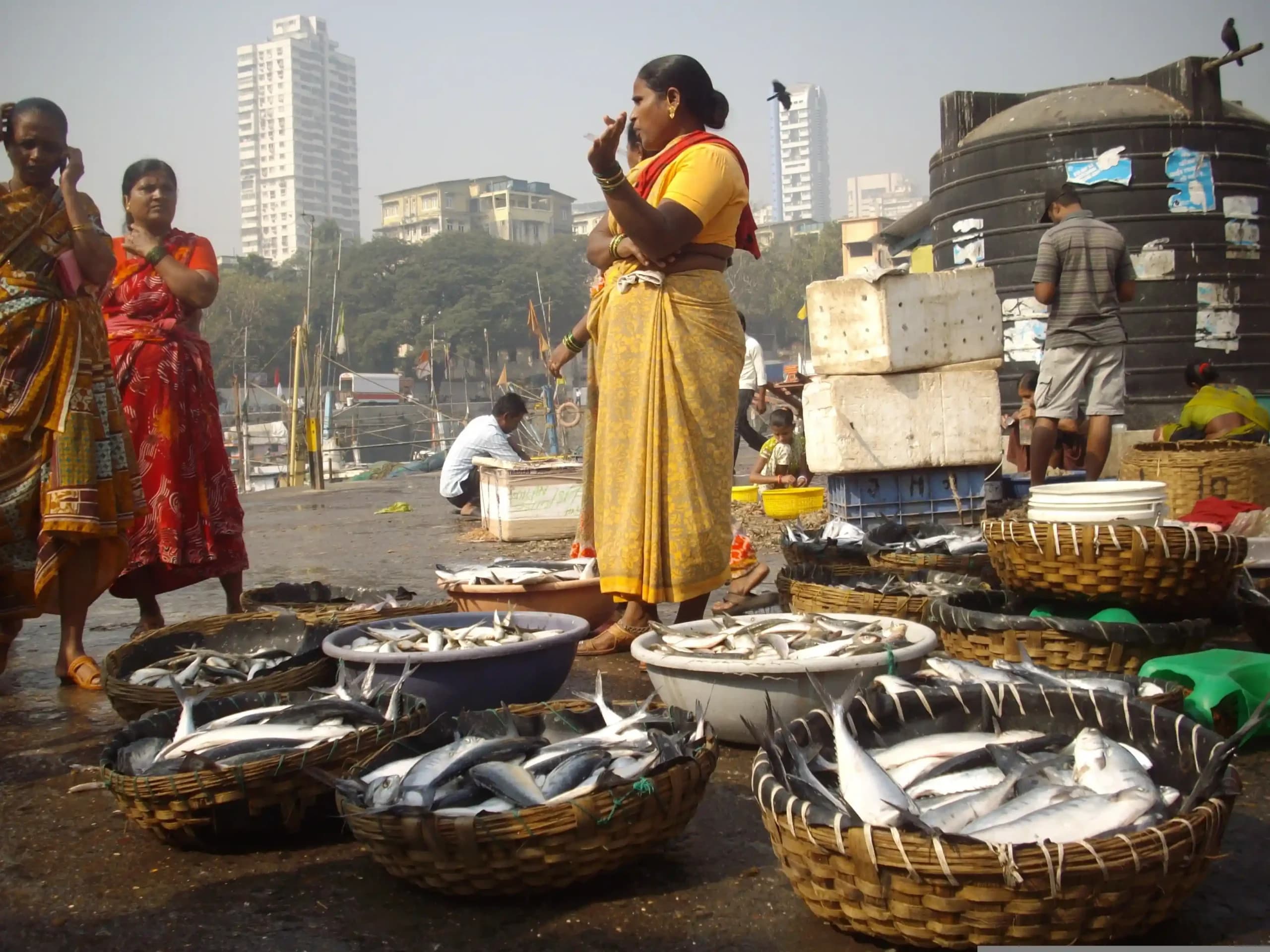 Mumbai city sightseeing featuring Gateway of India and historic landmarks