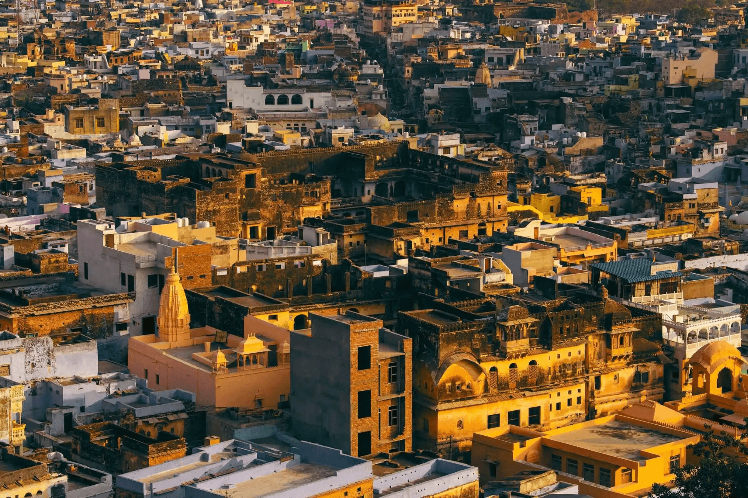 Traditional blue houses and historic stepwells in Bundi Rajasthan showcasing hidden architectural treasures
