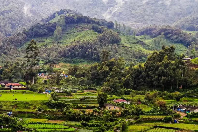 Munnar tea plantations rolling hills and scenic landscapes in Kerala India