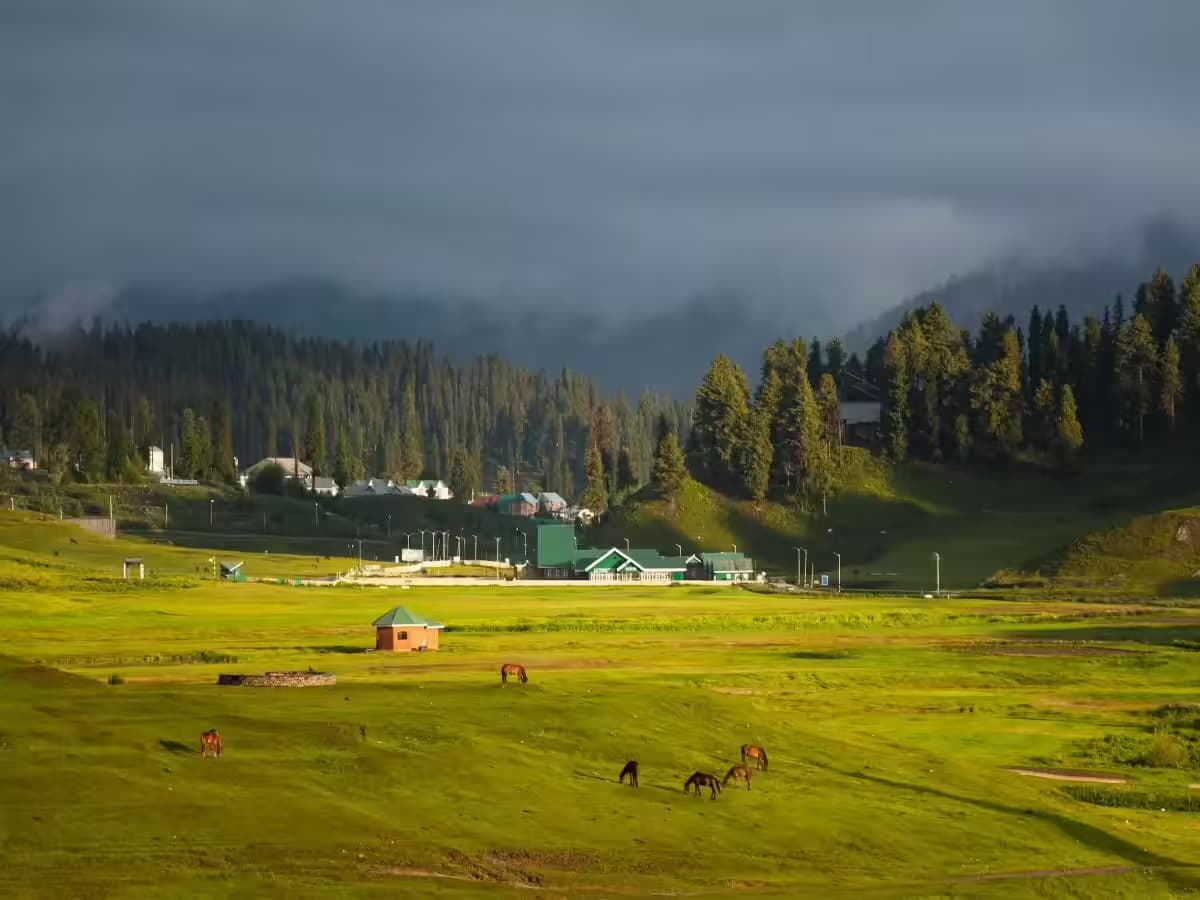 Divine Kashmir and Exciting Ladakh
