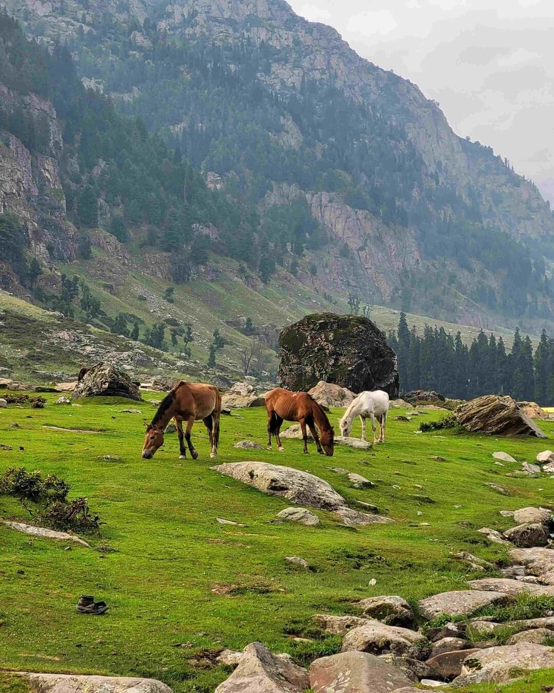 Gulmarg Kashmir with snow-covered mountains gondola rides and scenic valleys