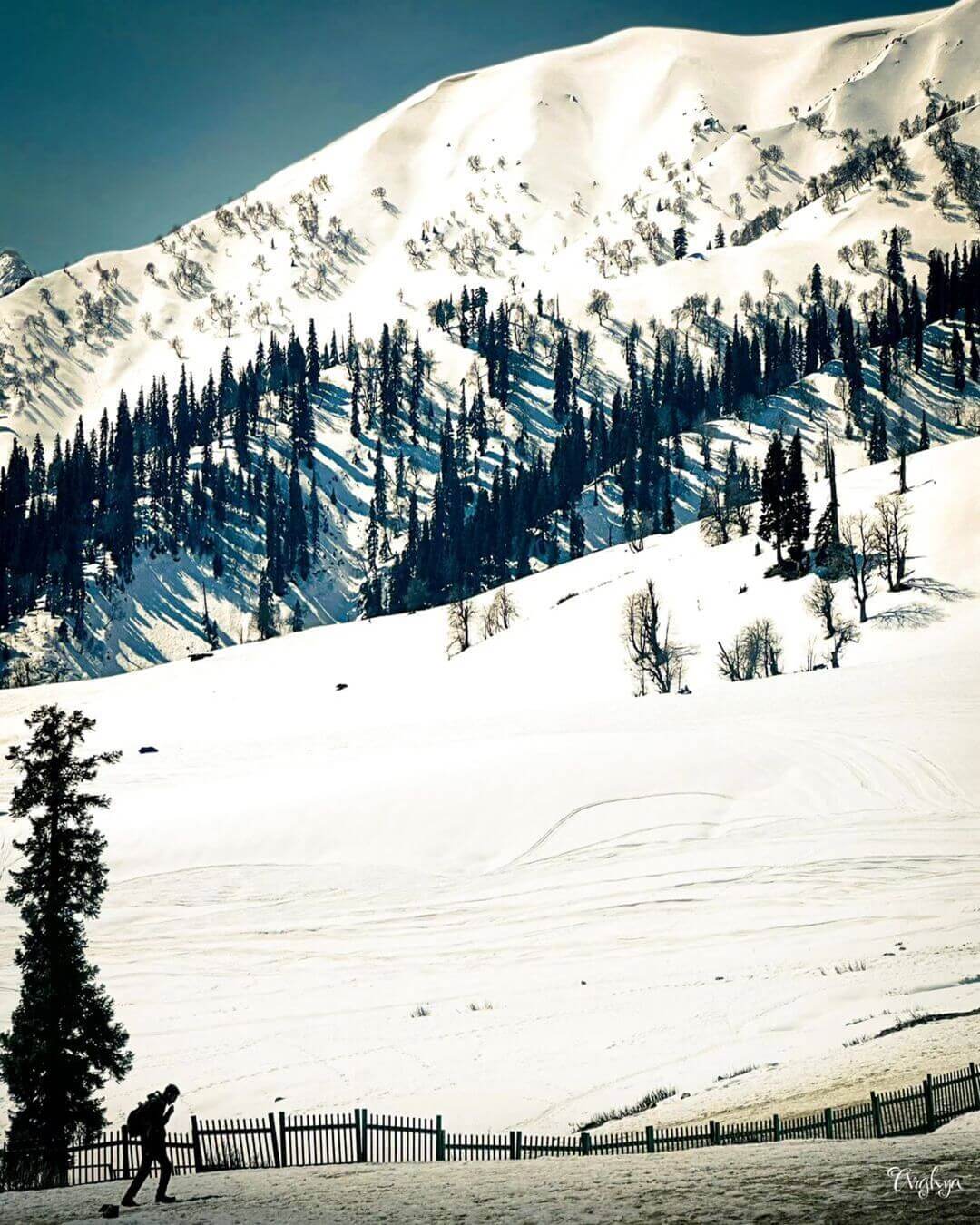 Pahalgam Kashmir featuring Lidder Valley pine forests and Himalayan landscapes