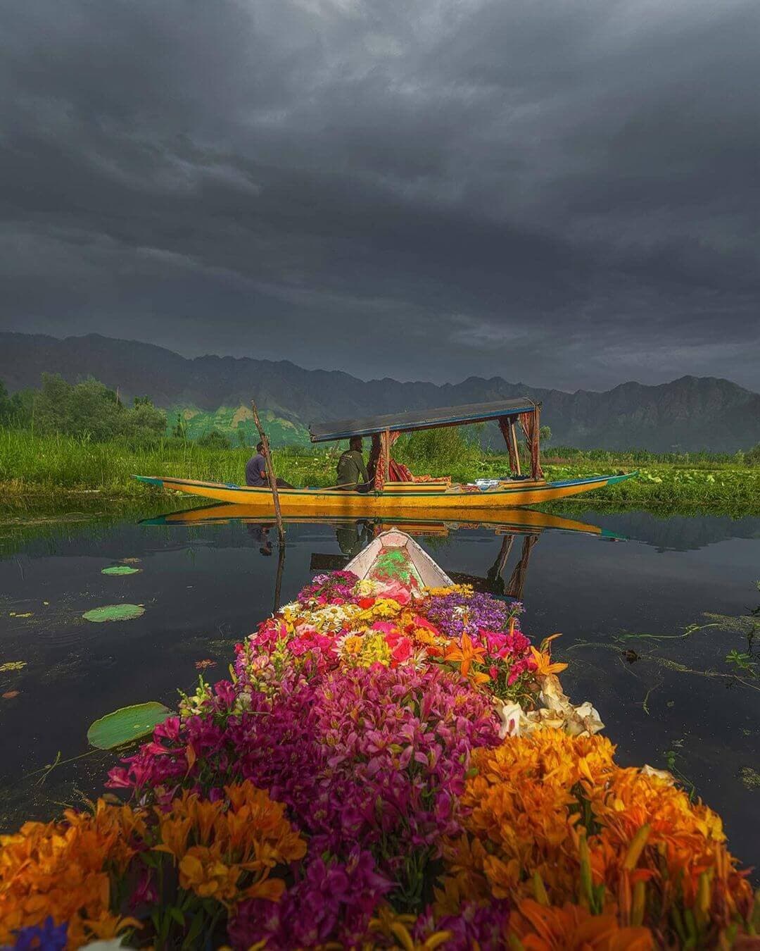 Sonamarg Kashmir featuring snow-capped Himalayan mountains alpine meadows and scenic valleys