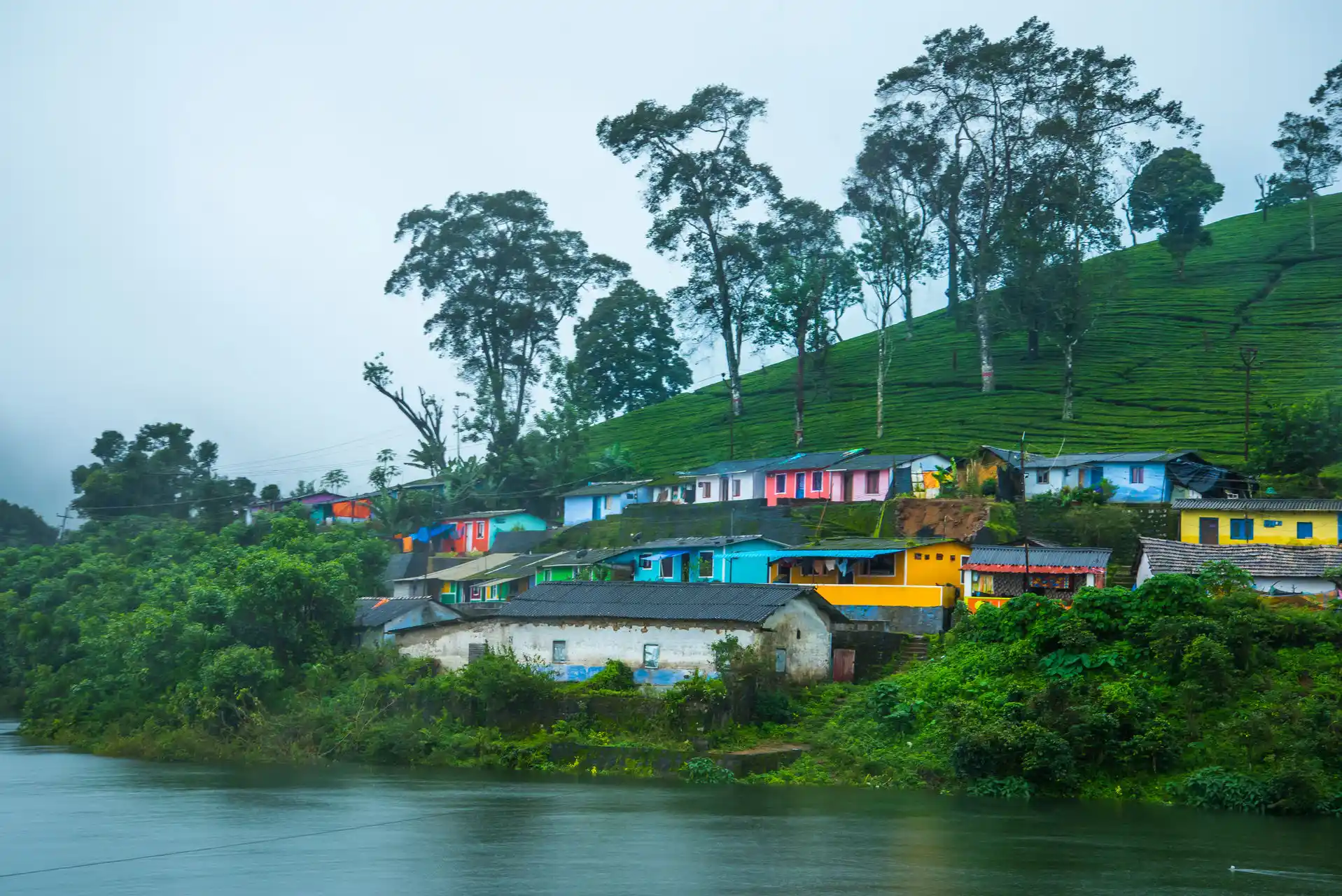Tea plantations and scenic mountain landscapes in Munnar Kerala India