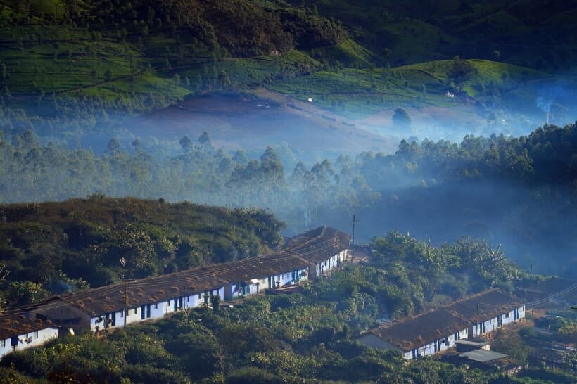 Munnar tea plantations and scenic hill station landscapes in Kerala during Ayurveda wellness tour in India