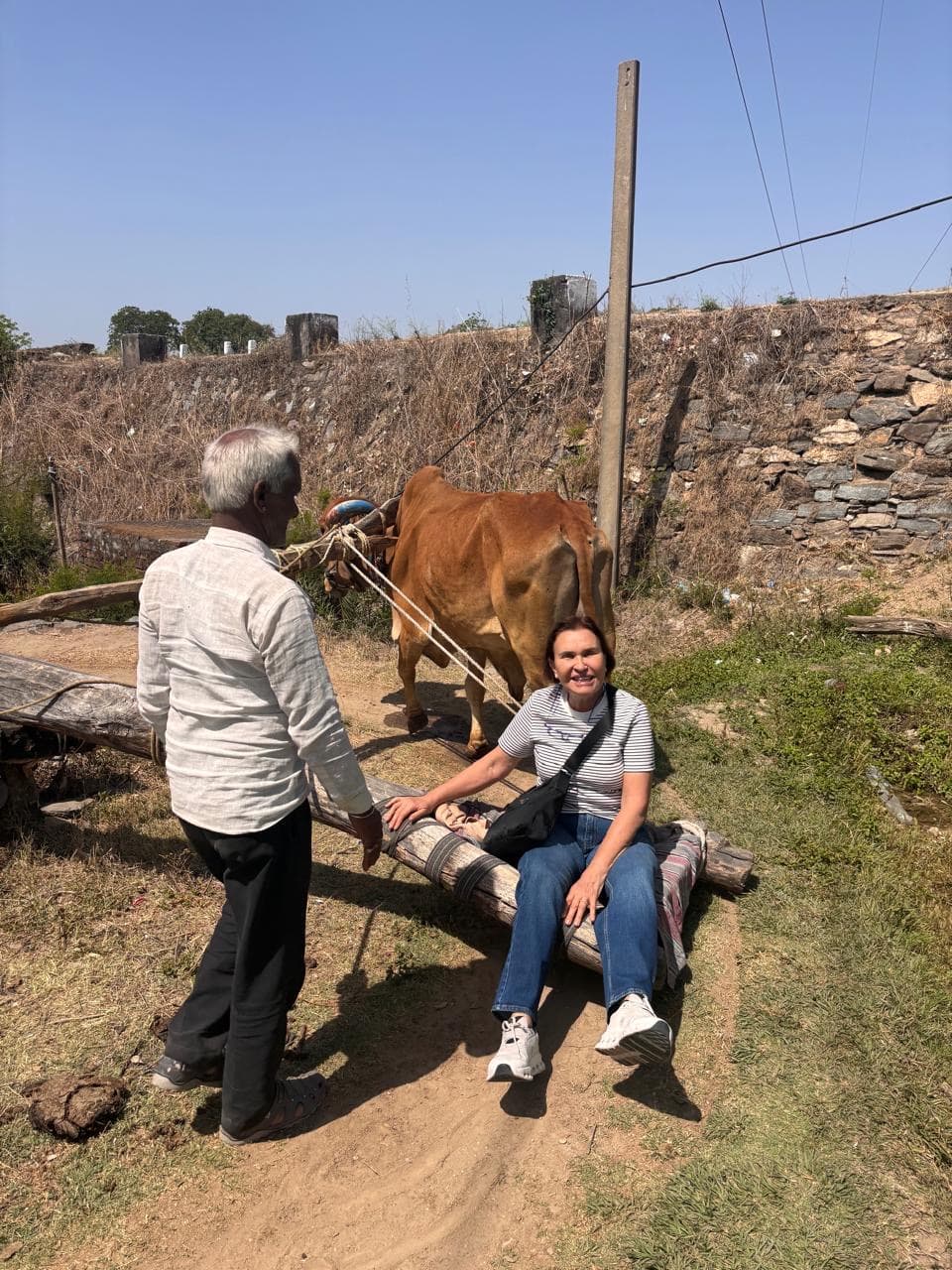 Elephant experience during a cultural tour in India