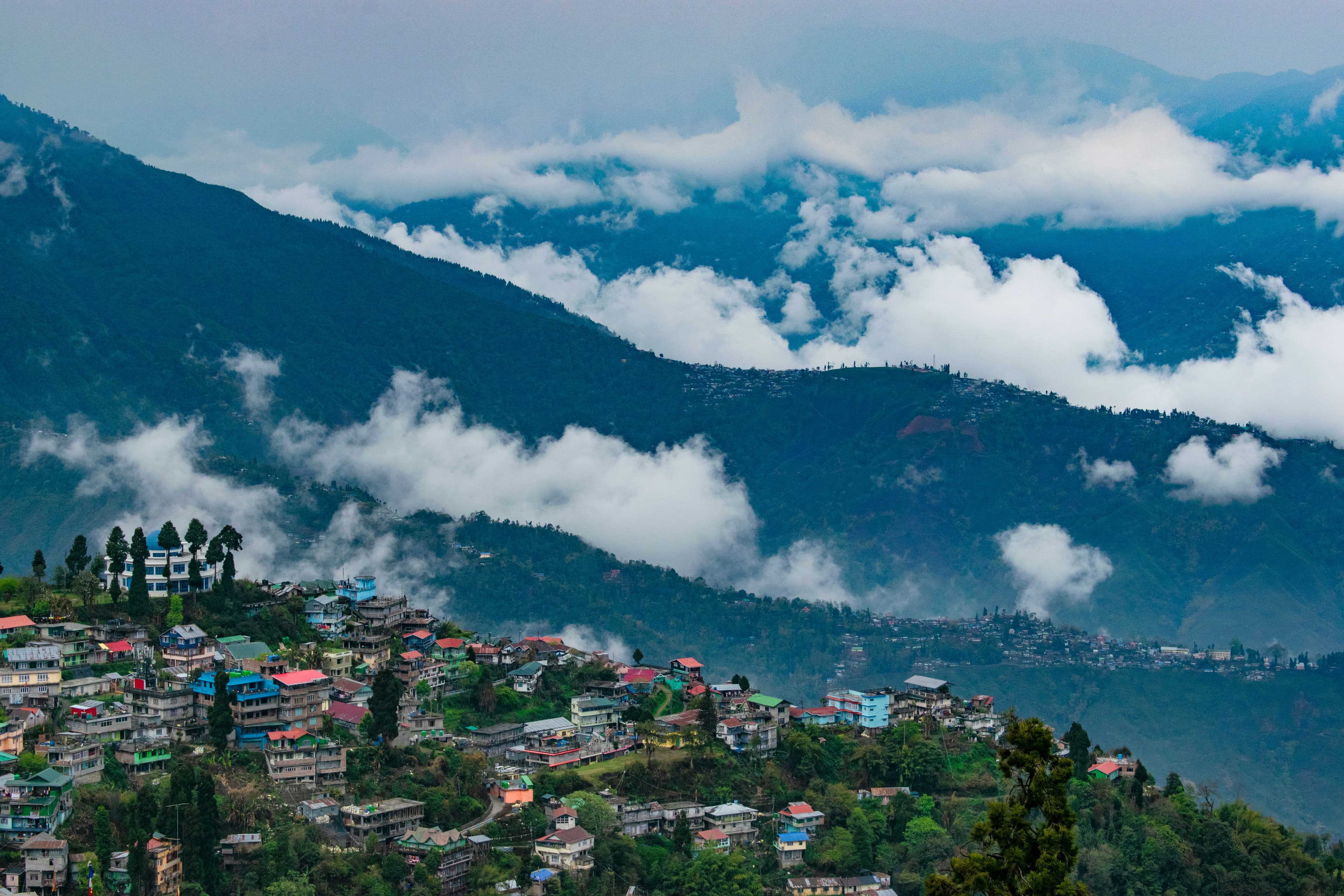 Tea gardens and Himalayan mountain views in Darjeeling West Bengal India