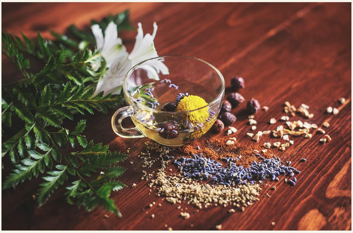 Luxury Ayurveda & Wellness Retreats in India – Your Perfect Escape
