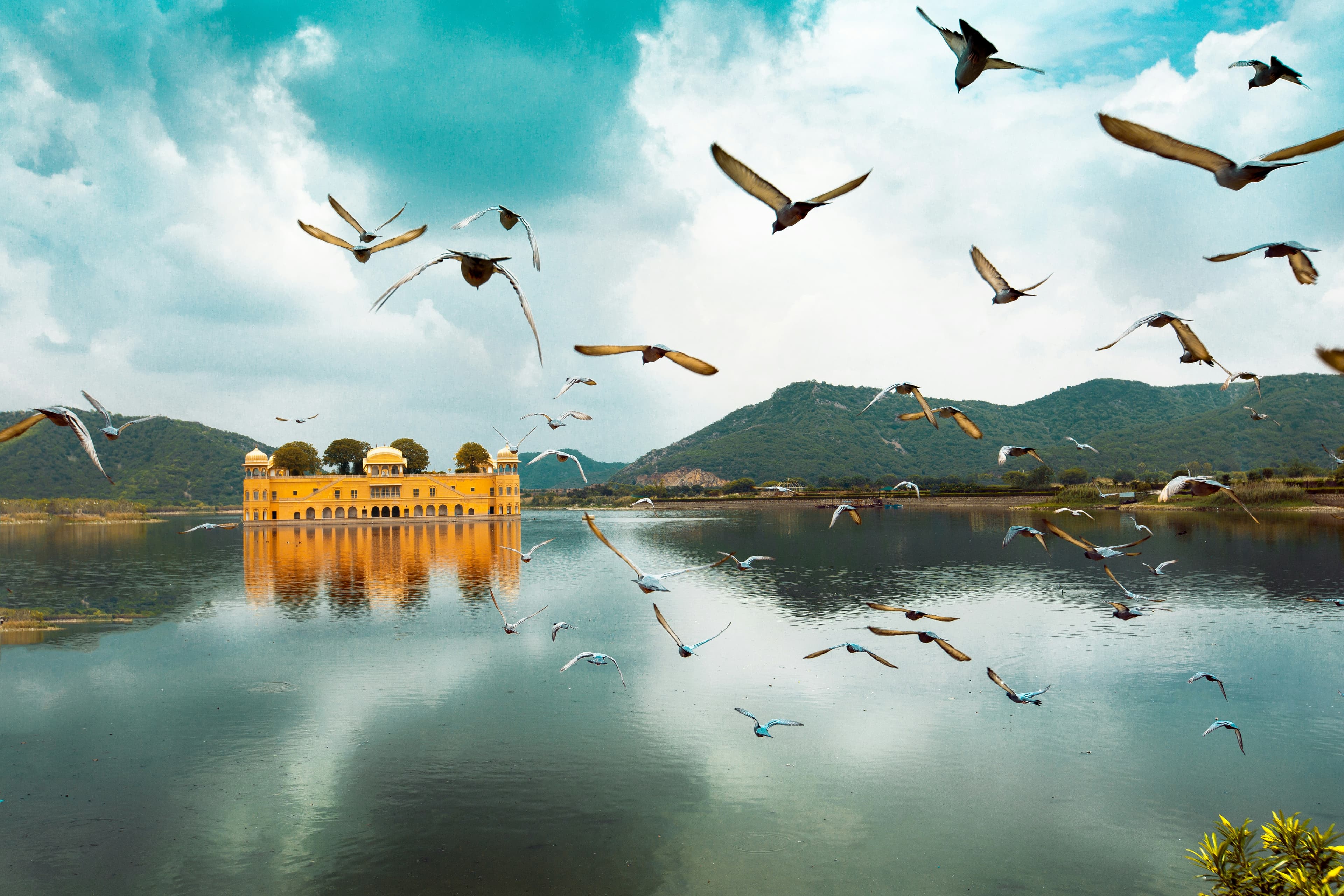 Majestic forts royal palaces and vibrant culture in Jaipur Rajasthan India