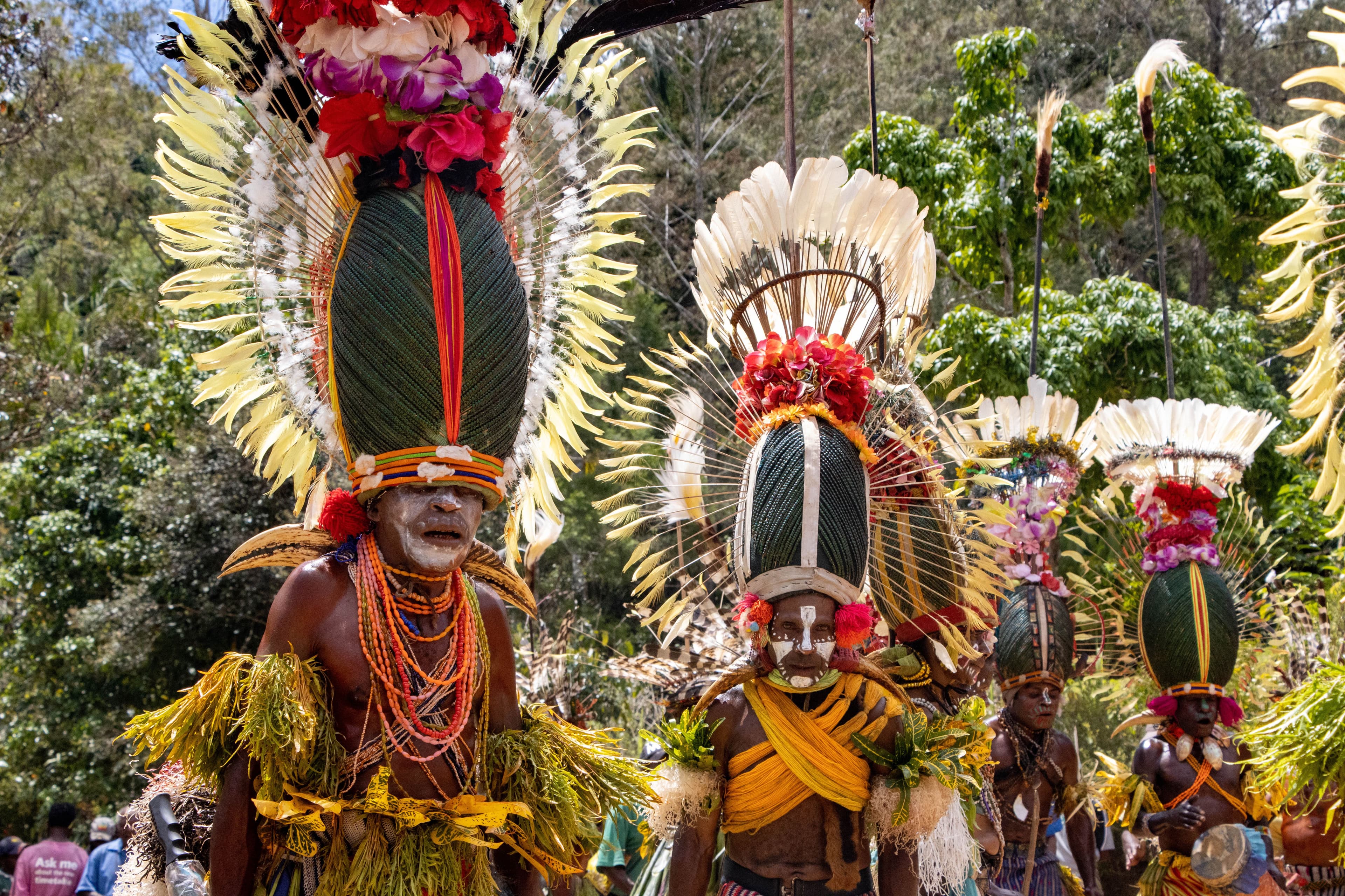 Hornbill Festival: Nagaland's Tribal Showcase