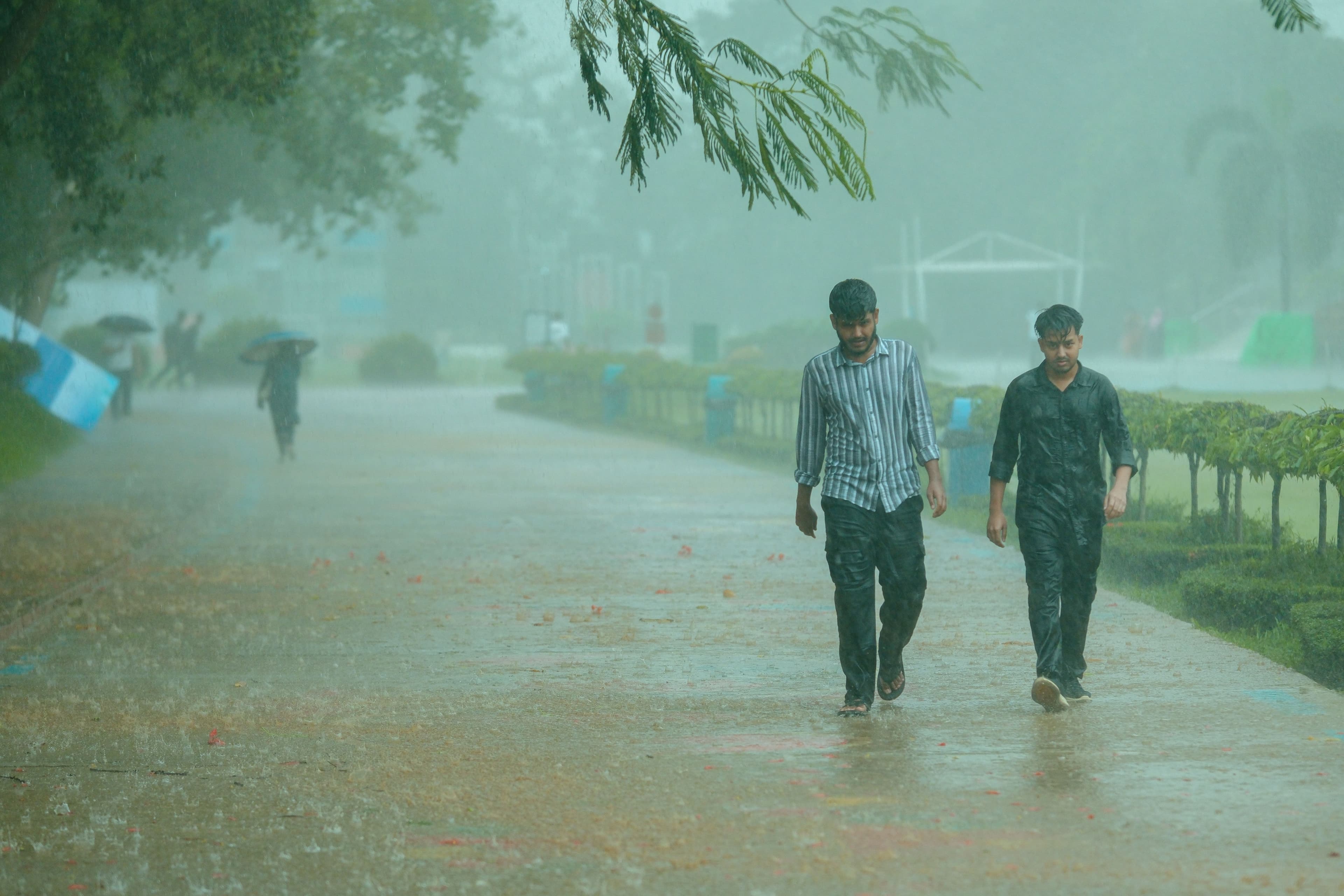Monsoon (June – September)