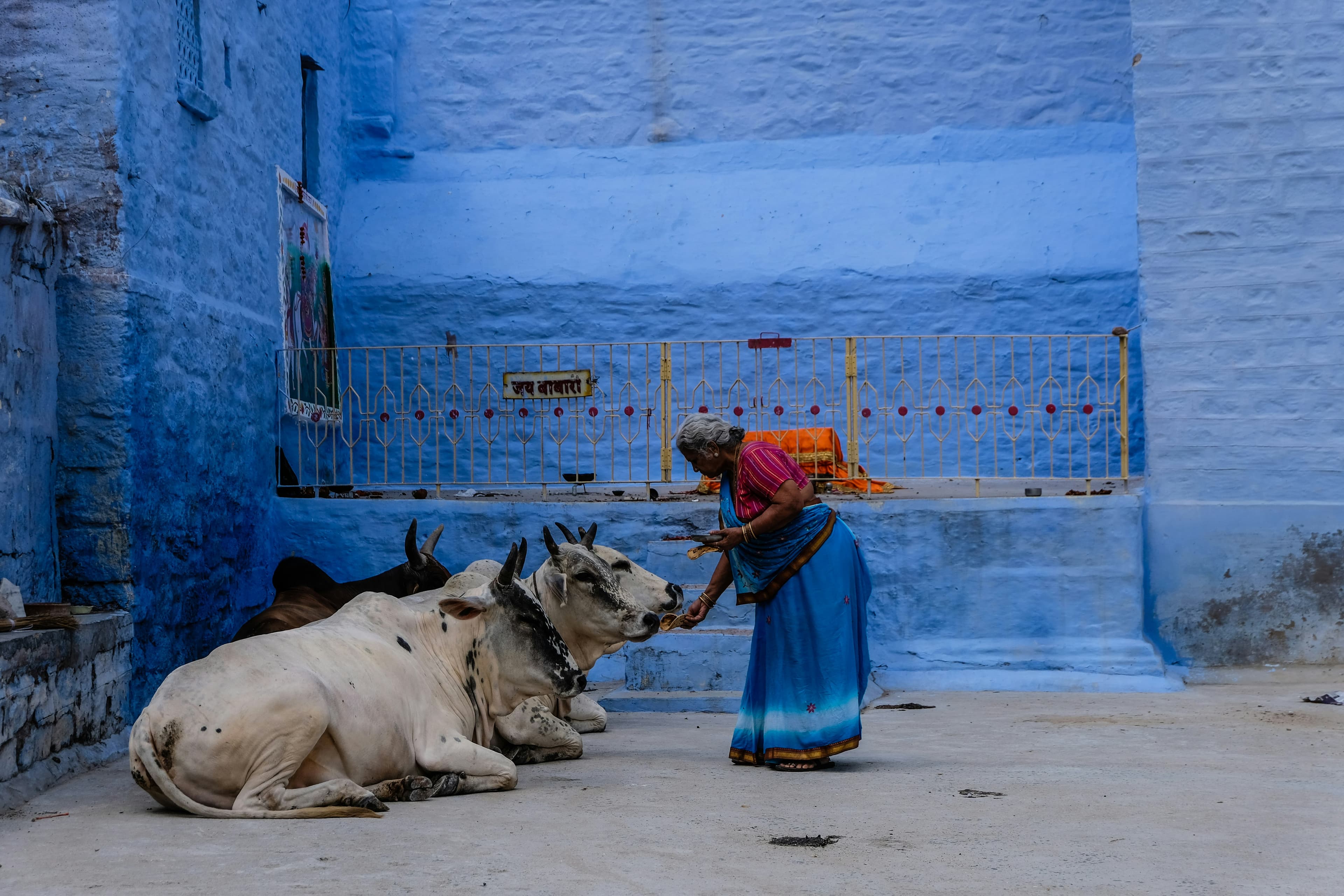Best time to visit India 2026 - month-by-month seasonal guide for travellers
