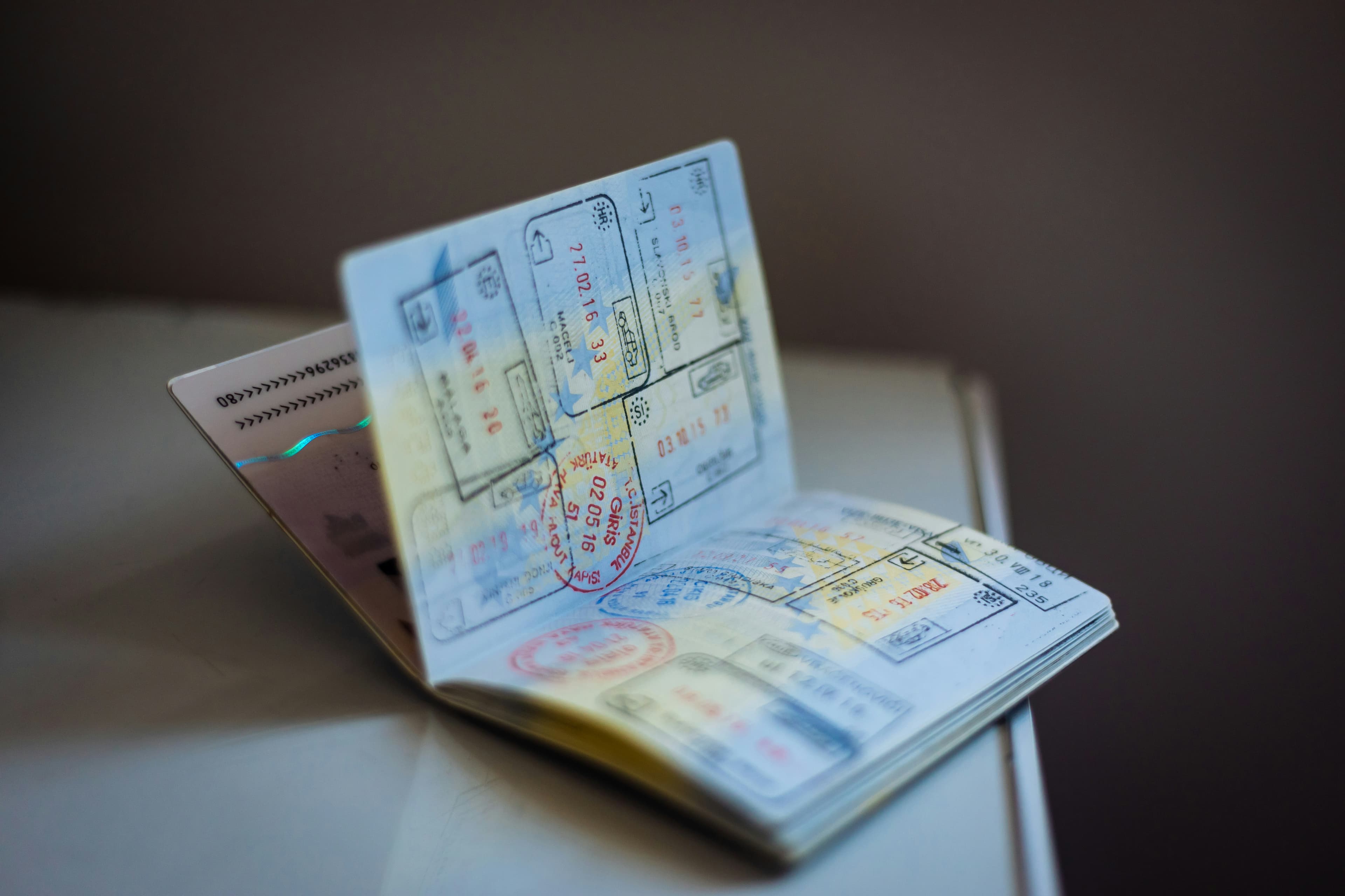 India visa guide for foreign tourists 2026 - e-visa and application process