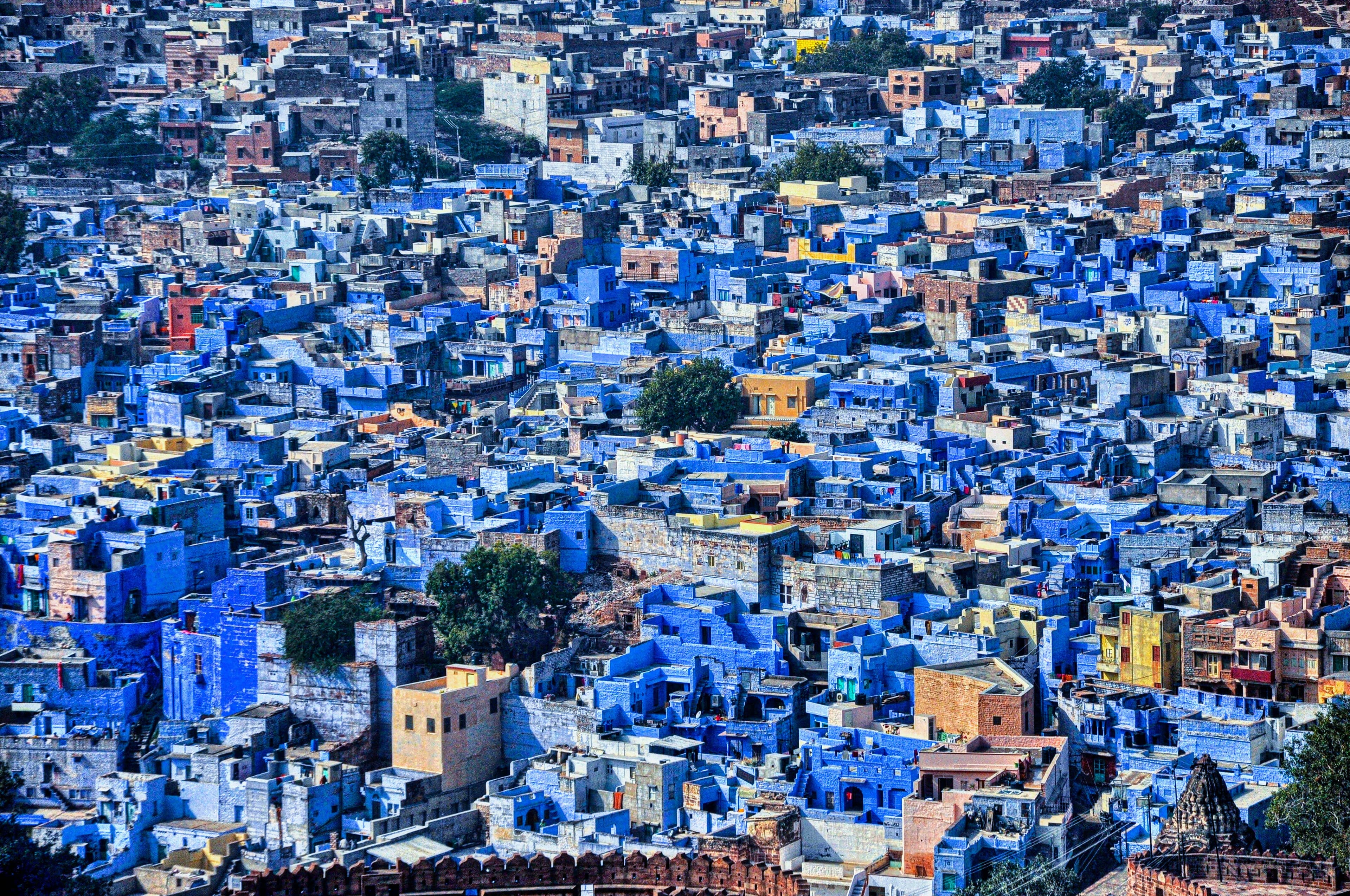 Welcome to Jodhpur Blue City - blue houses and Mehrangarh Fort overview