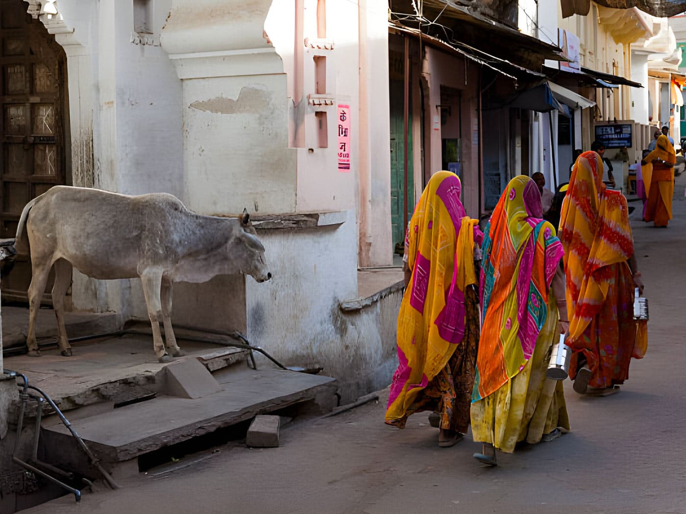 Devgarh cultural heritage - living family palace in rural Rajasthan