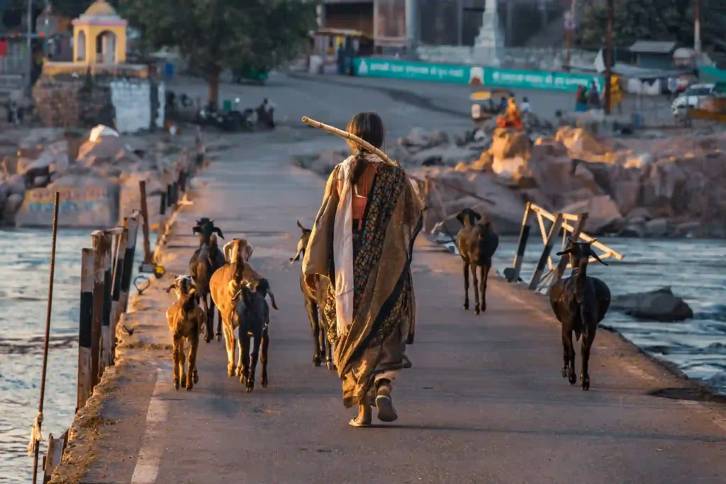 Sacred Ganges orcha-itanary3.