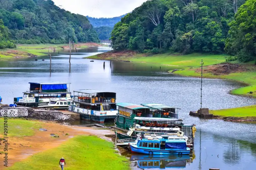 Southern Splendors Culture & Nature Thekkady