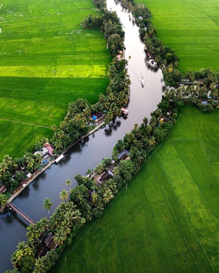 Alleppey 3