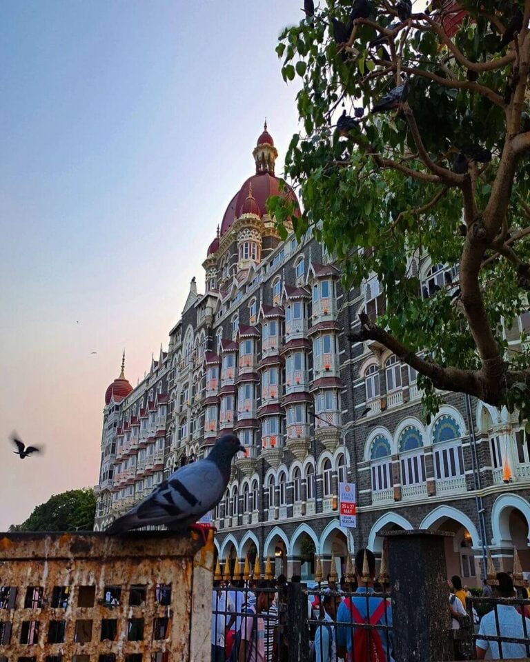 Mumbai 3