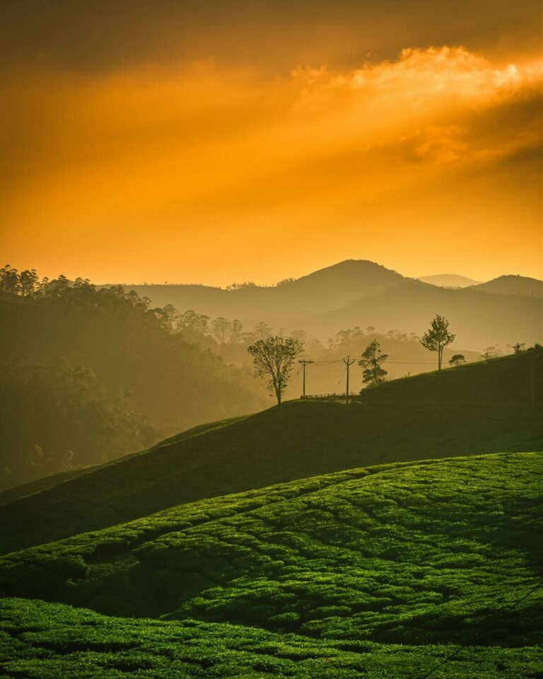 Munnar 1