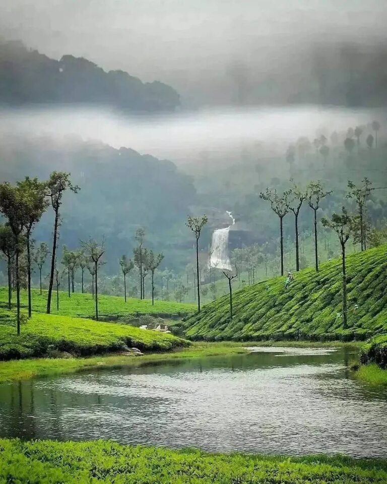 Thekkady 4