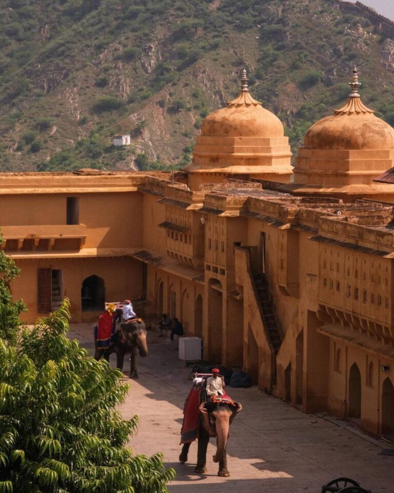 jaipur 5