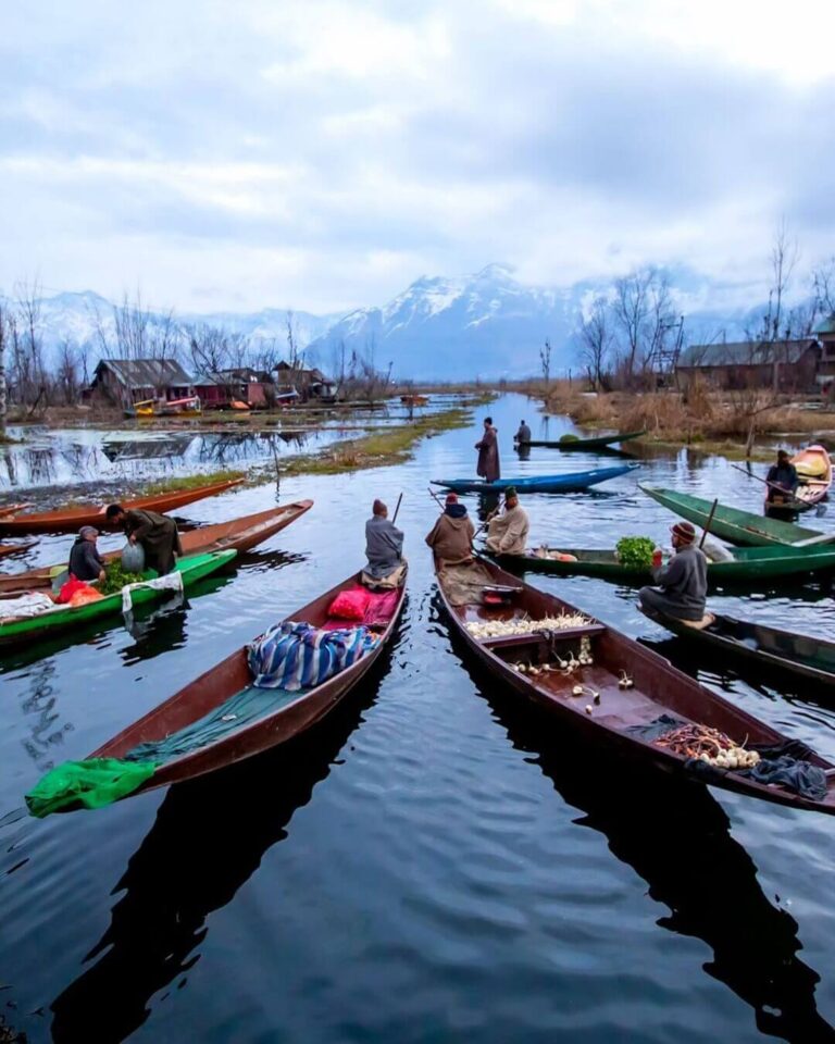 srinagar 1