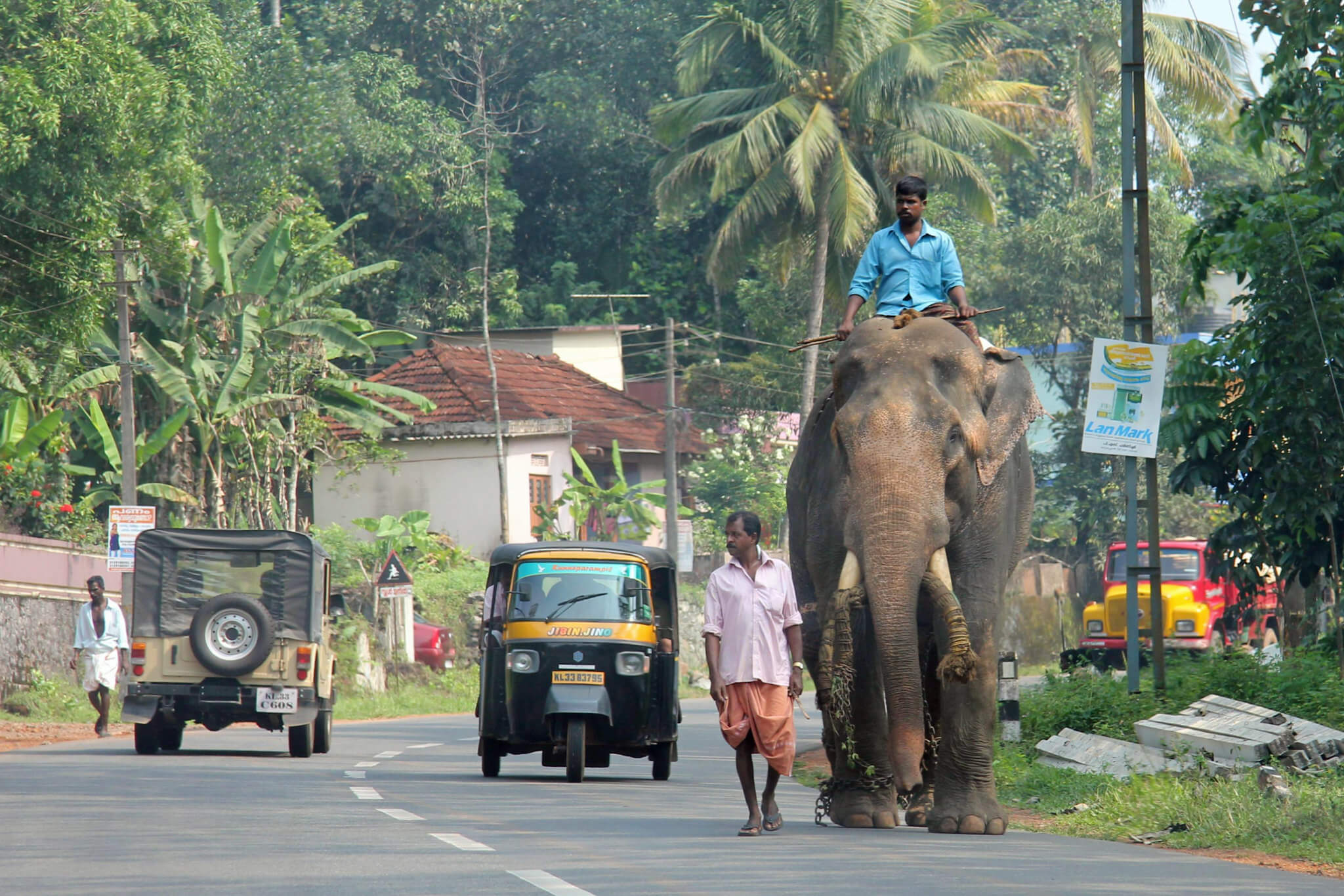 thekkady main