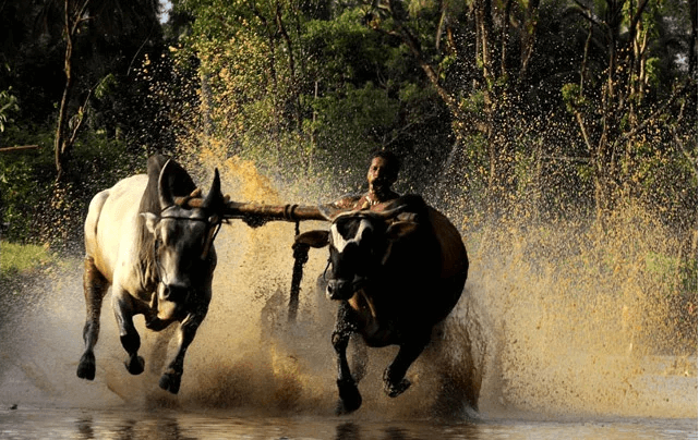 North-to-South-IndiaTour-thekkady-ittanary