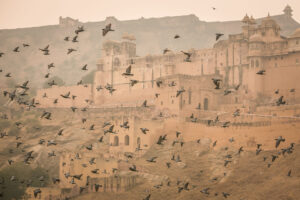 Amer fort