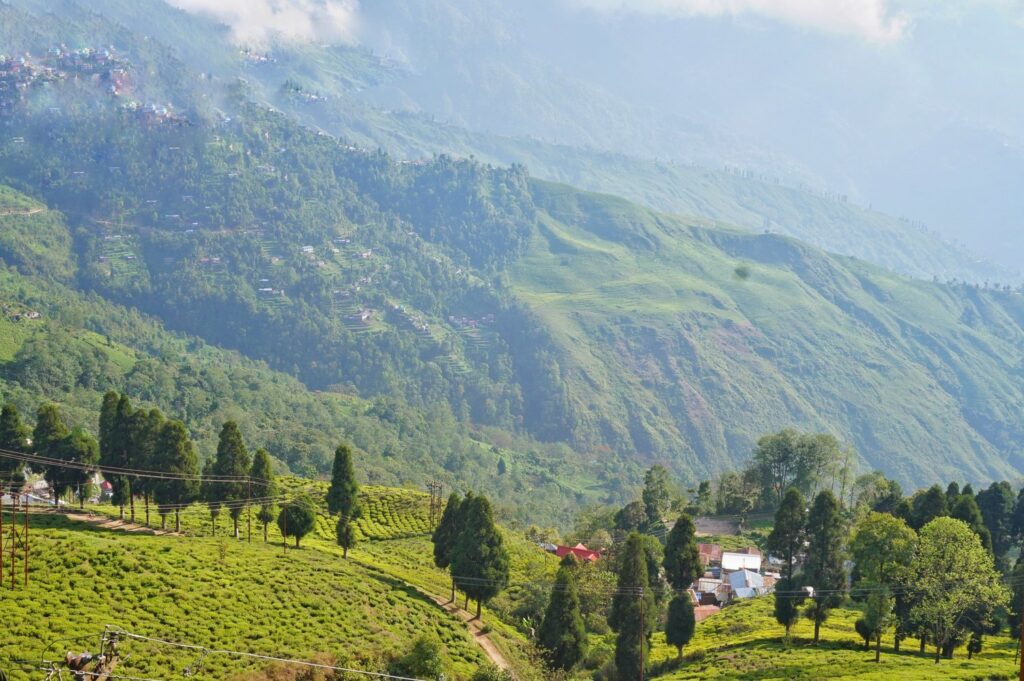 Darjeeling