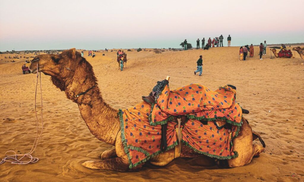rajasthan